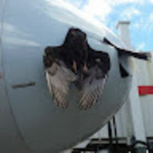 Meet your Posher, Diego